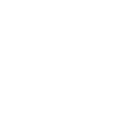Paiement Cash 