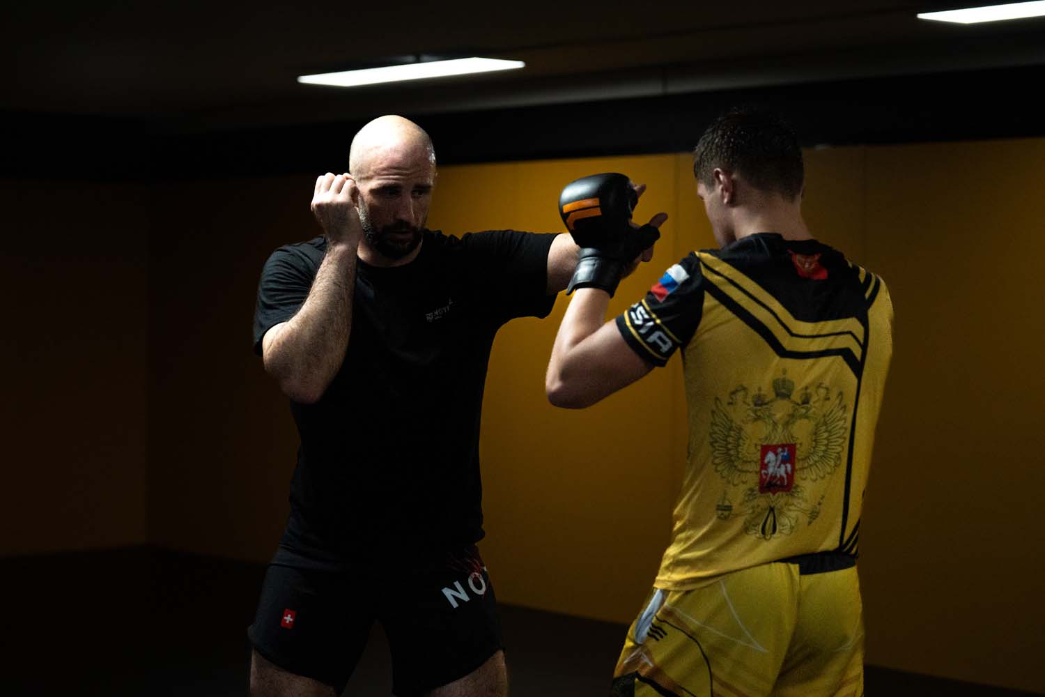 MMA Avancé_2